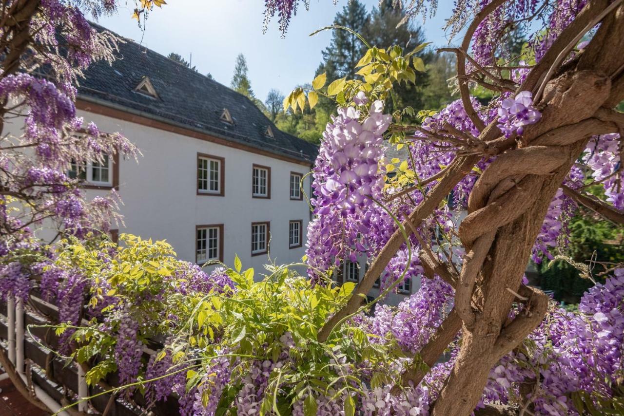 Suite met Uitzicht op de Tuin en een Balkon